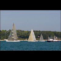 CEF8193 srgb copyrt.jpg
